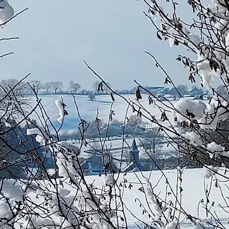 מלון De La Frontiere סלנאקן