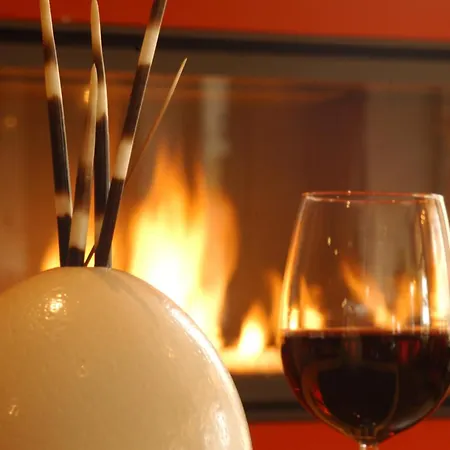 מלון De La Frontiere סלנאקן